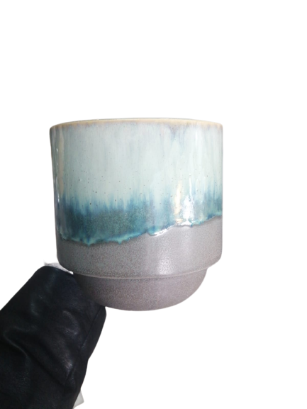 Cactus Plant Pot Small