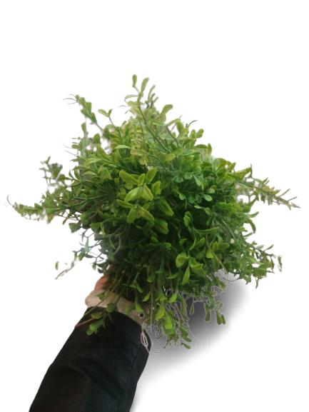 Artificial Plant Ball Green 19cm